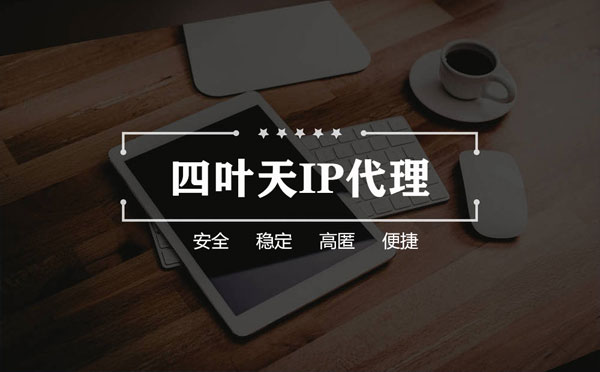 【阳春代理IP】如何快速搭建代理IP？怎么检查代理的效果？